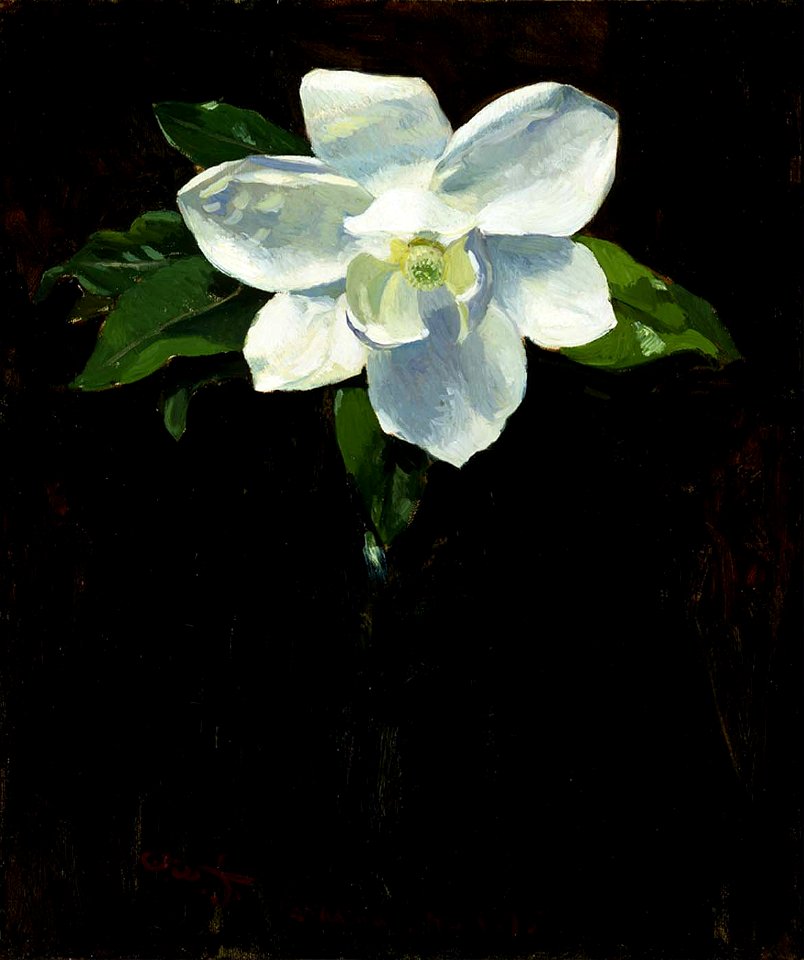 Charles Walter Stetson - Magnolia - 1982.83.3 - Smithsonian American Art Museum