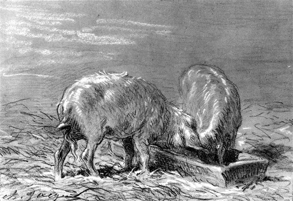 Charles Émile Jacque - Two Pigs Eating from a Trough - Walters 371638