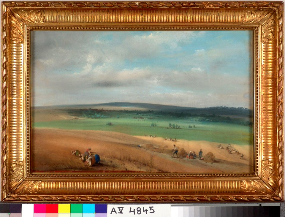 Charles-François Daubigny - Harvest - A V 4845 - Finnish National Gallery