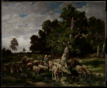 Charles Émile Jacque - Shepherdess Watering Sheep - 20.1867 - Museum of Fine Arts. Free illustration for personal and commercial use.