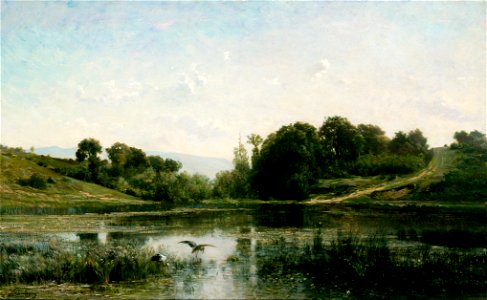 Charles-Franҫois Daubigny - The Ponds of Gylieu - Google Art Project