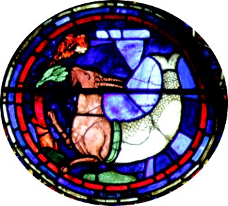 Chartres-028-g - 12-Capricorne