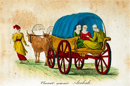 Charriots nommés arabah - Castellan Antoine-laurent - 1812