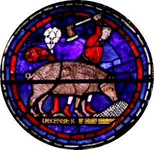 Chartres-028-g - 11-Novembre