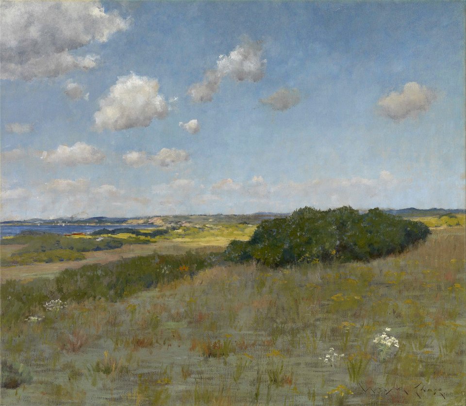 William Merritt Chase - Sunlight and Shadow, Shinnecock Hills - Google Art Project