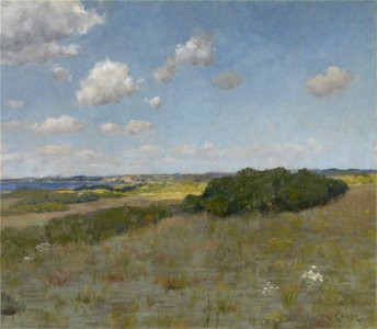William Merritt Chase - Sunlight and Shadow, Shinnecock Hills - Google Art Project