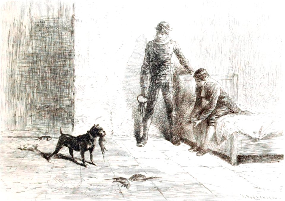 Chartreuse de Parme 1883 - II - Valentin Foulquier - 107