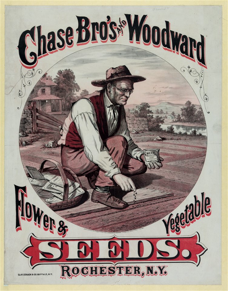 Chase Bro's and Woodward. Flower & vegetable seeds LCCN2003674673