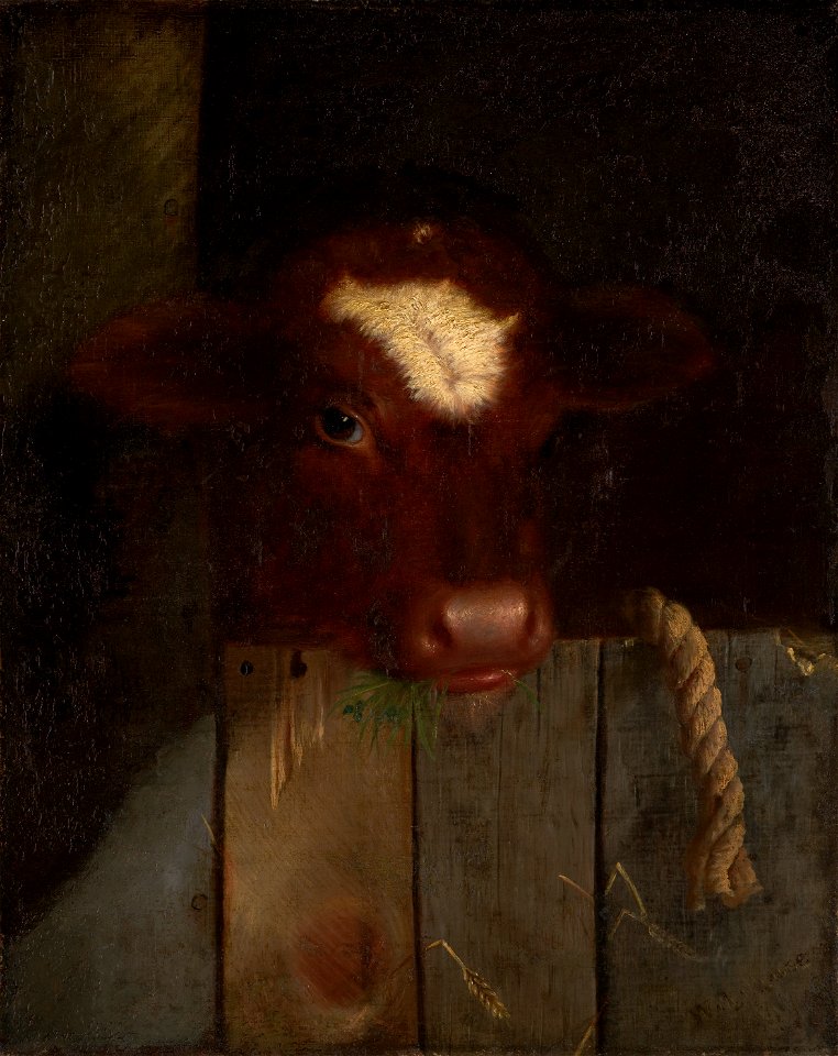 William Merritt Chase - The Family Cow (Calf's Head) - 1997.71 - Indianapolis Museum of Art