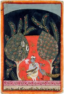 Chateri Ragini (6125116418)