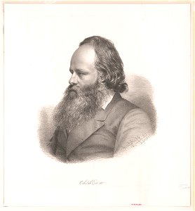 Chas. L. Elliott - Geo. K. Knapp Syracuse N.Y. Sept. 1877. LCCN2003667038