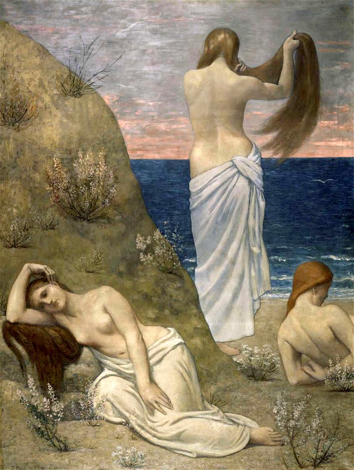 On the Edge of the Sea
