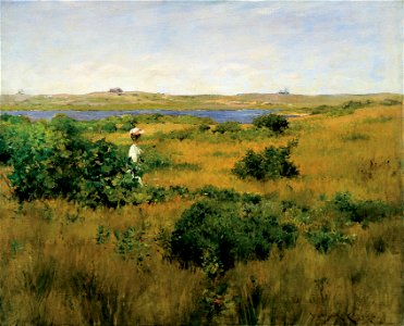 William Merritt Chase - Summer at Shinnecock Hills - Google Art Project