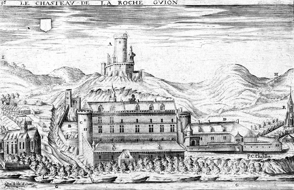 Chateau de La Roche-Gyon Chastillon