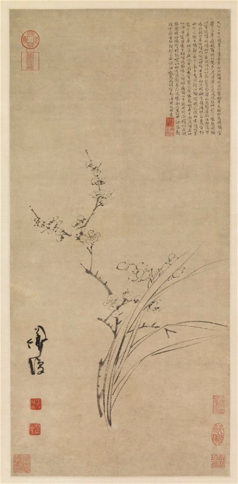 Chen Chun 陳淳 (Chen Daofu 陳道復) - Narcissus and Plum Blossoms (Meihua shuixian tu 梅花水仙圖) - 1998-97 - Princeton University Art Museum