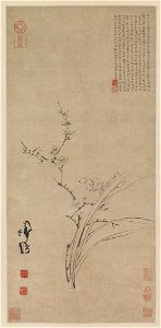 Chen Chun 陳淳 (Chen Daofu 陳道復) - Narcissus and Plum Blossoms (Meihua shuixian tu 梅花水仙圖) - 1998-97 - Princeton University Art Museum