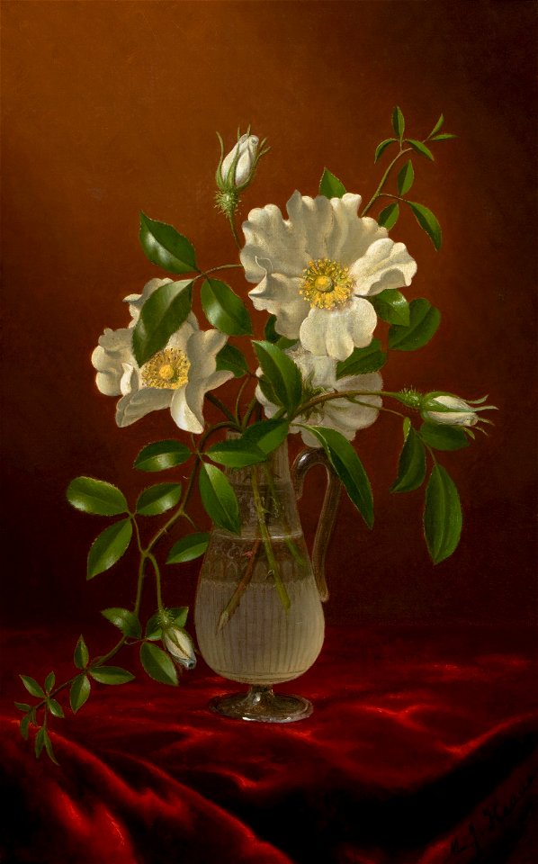 Cherokee Roses in a Glass Vase-Martin Johnson Heade