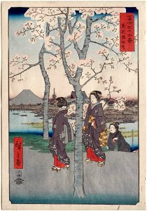 Cherry-Blossom-Utagawa-Hiroshige-36-Views-of-Mount Fuji-Series-7. Free illustration for personal and commercial use.