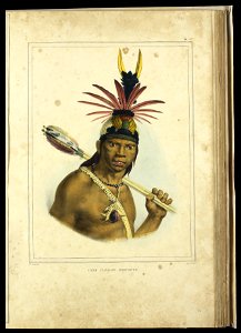 Chef Camacan Mongoyo (2), da Coleção Brasiliana Iconográfica