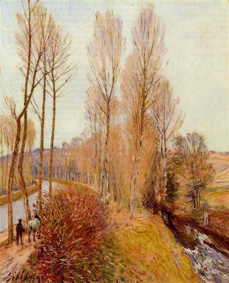 Chemin le long du canal du Loing
