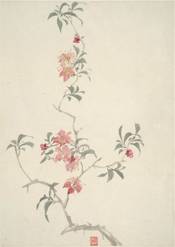 Chen Hongshou - Album of Flower - 1960.10a-h - Yale University Art Gallery