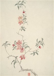 Chen Hongshou - Album of Flower - 1960.10a-h - Yale University Art Gallery