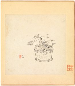 Chen Hongshou - Miscellaneous Studies - 2005.112a–l - Metropolitan Museum of Art