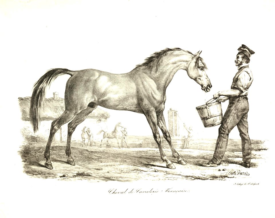 Cheval de cavalerie française (BM 1867,0309.913)
