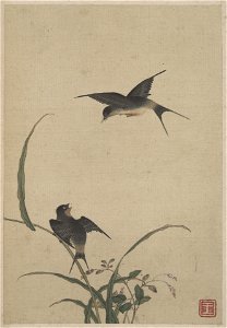 Chen Mei - Birds and Flower - 1988.2.1.1.12 - Yale University Art Gallery