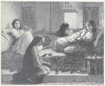Chevalier - Les voyageuses au XIXe siècle, 1889 (page 27 crop)