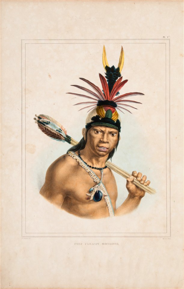 Chef Camacan Mongoyo (3), da Coleção Brasiliana Iconográfica