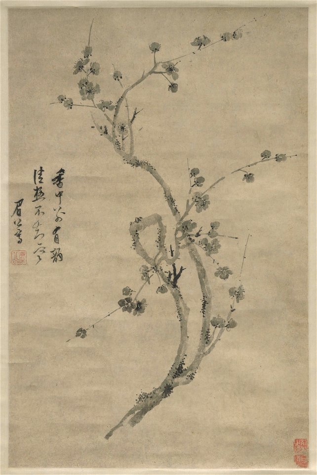 Chen Jiru - A Cut Branch of Blossoming Plum - 1985.59.1 - Yale University Art Gallery