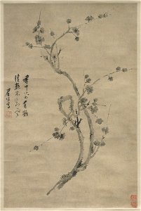 Chen Jiru - A Cut Branch of Blossoming Plum - 1985.59.1 - Yale University Art Gallery