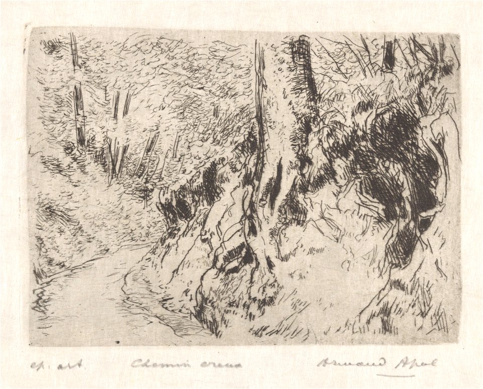 Chemin creux, print by Armand Apol (1879-1950), Belgium, (1914), Prints Department of the Royal Library of Belgium, S.IV 109464