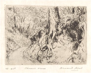 Chemin creux, print by Armand Apol (1879-1950), Belgium, (1914), Prints Department of the Royal Library of Belgium, S.IV 109464