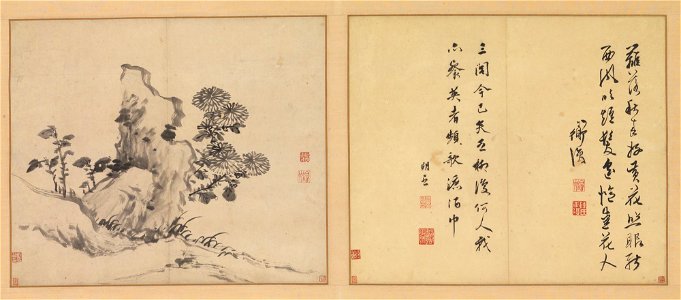 Chen Chun 陳淳 (Chen Daofu 陳道復) - Chrysanthemums and Rocks - 1998-786 - Princeton University Art Museum