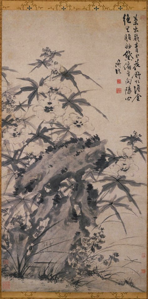 Chen Chun 陳淳 (Chen Daofu 陳道復) - Mallows and Garden Rock - y1980-41 - Princeton University Art Museum