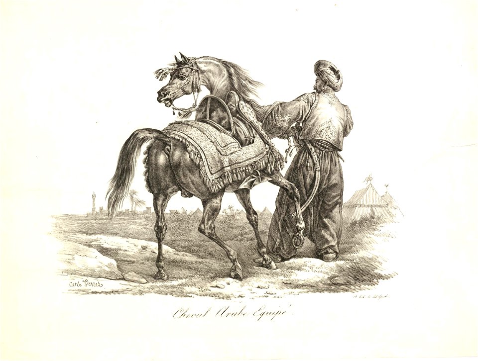 Cheval Arabe Equipé (BM 1867,0309.912)