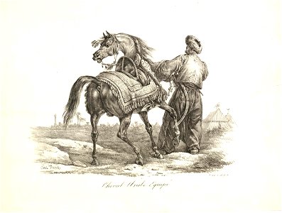 Cheval Arabe Equipé (BM 1867,0309.912)