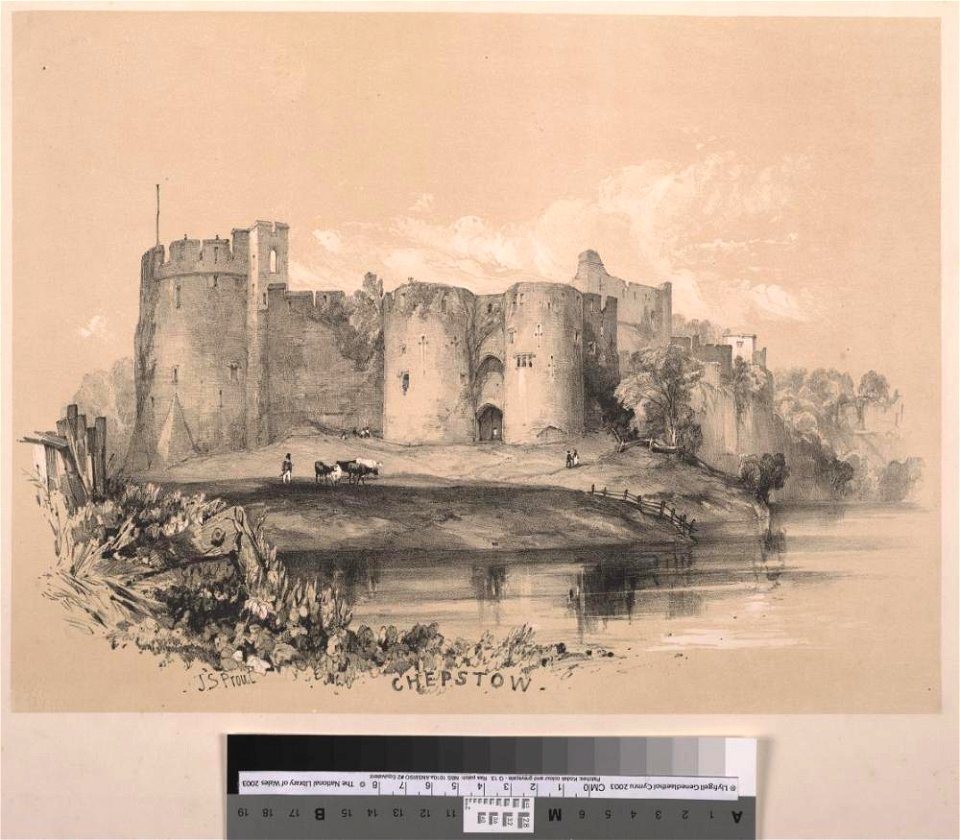 Chepstow Castle (1128755)