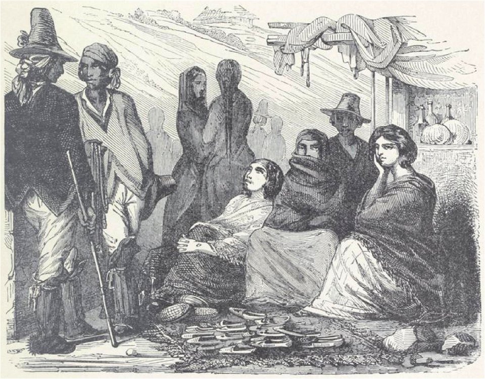 Chevalier - Les voyageuses au XIXe siècle, 1889 (page 91 crop)