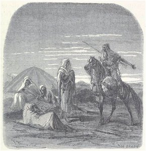 Chevalier - Les voyageuses au XIXe siècle, 1889 (page 19 crop)