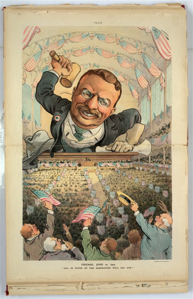 Chicago, June 21, 1904 - All in favor of the nomination will say aye! - Keppler. LCCN2011645542
