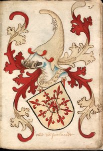 Coninc van Scotlandt - Koning van Schotland - King of Scotland - Wapenboek Nassau-Vianden - KB 1900 A 016, folium 28r