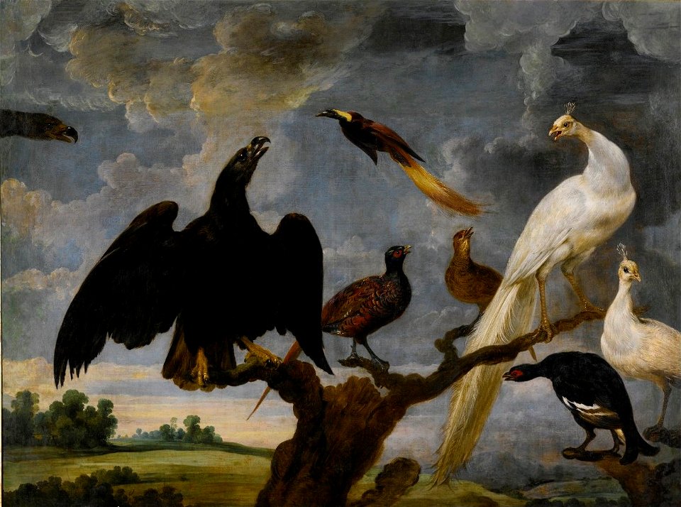 Concert of Birds including Eagle, Peacock & Bird of Paradise by Paul de Vos