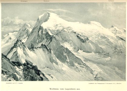 Compton, 1900, Weißmies vom Laquinhorn