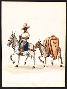 Conductor de Aguardiente