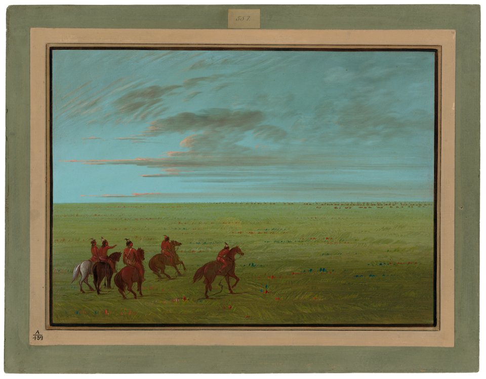 Connibos Starting for Wild Horses C17047