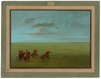 Connibos Starting for Wild Horses C17047