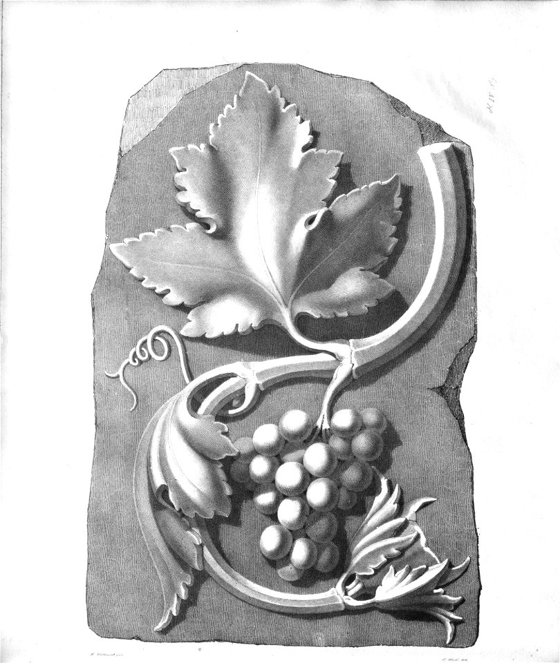 Conrad Weitbrecht, Ornamenten-Zeichnungs-Schule, Blatt 69